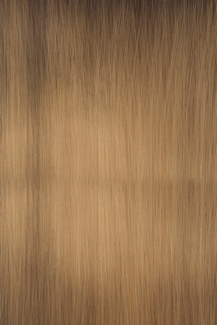Swatch image for 490 Shiny Bronze